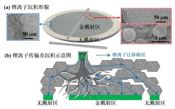 中科院關于非對稱結構固態電池研究取得新進展